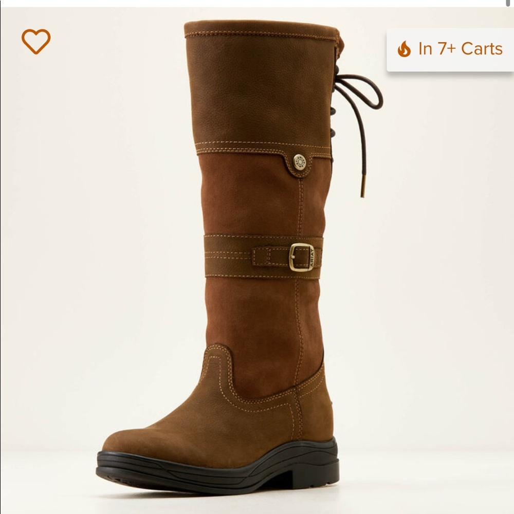Ariat Langdale Waterproof Boots